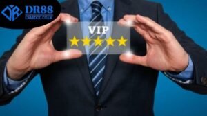 tang-code-vip-dr88